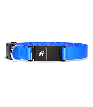 A blue collar