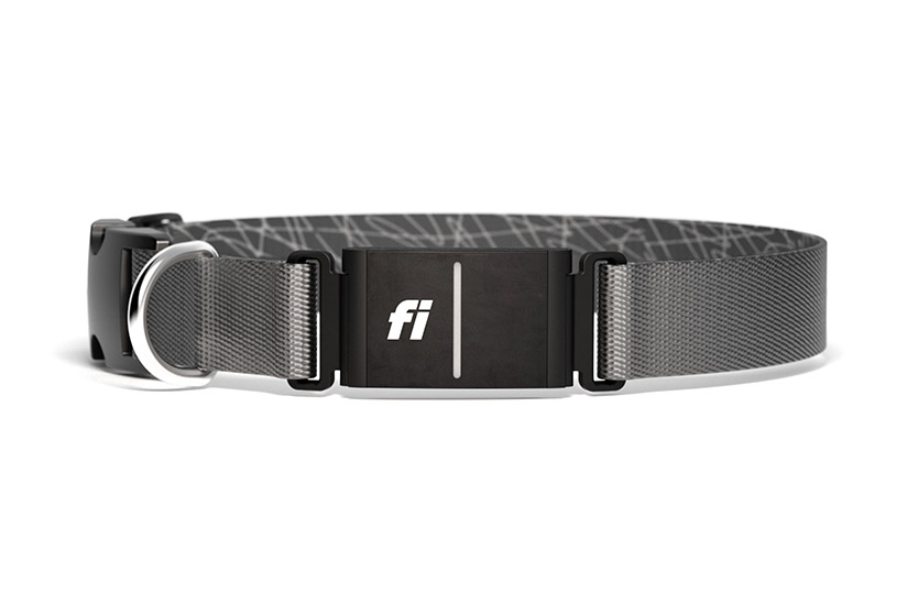 A gray collar