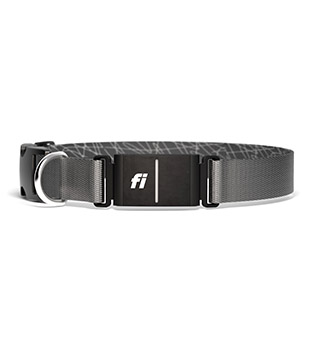 A gray collar