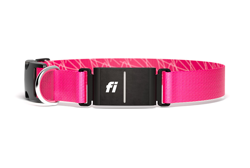 A pink collar