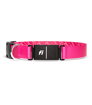 A pink collar